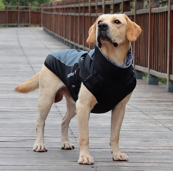 Waterproof Winter Thick Dog Coat With Harness BestPet